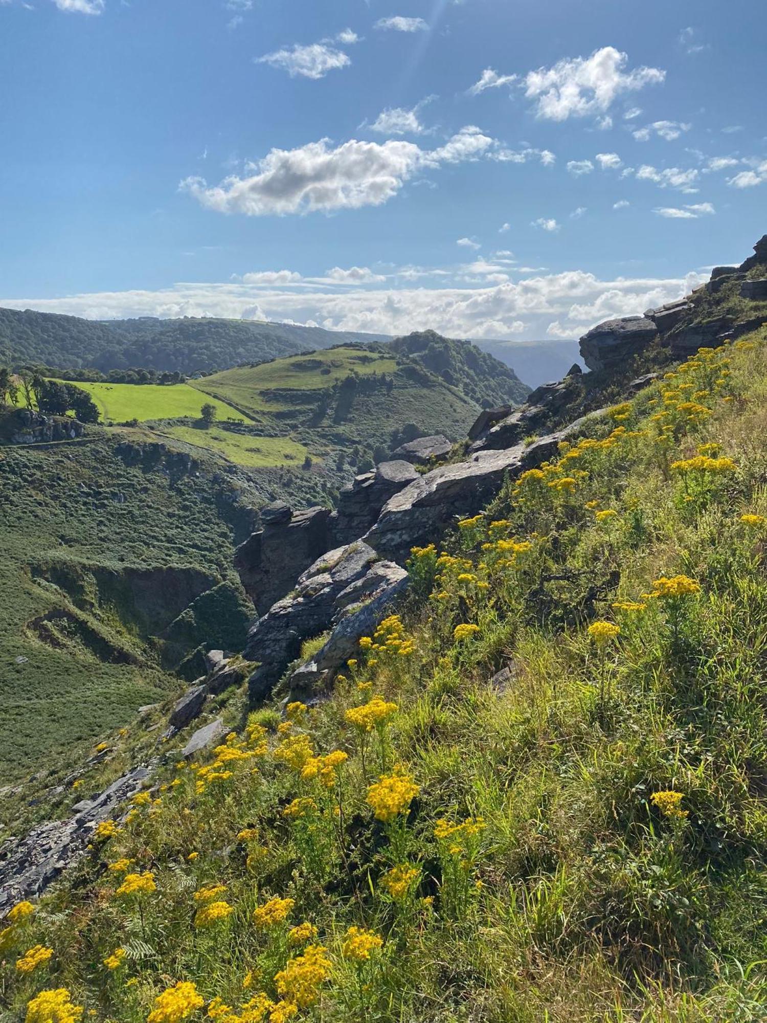 East Lyn House Bed and Breakfast Lynmouth Εξωτερικό φωτογραφία